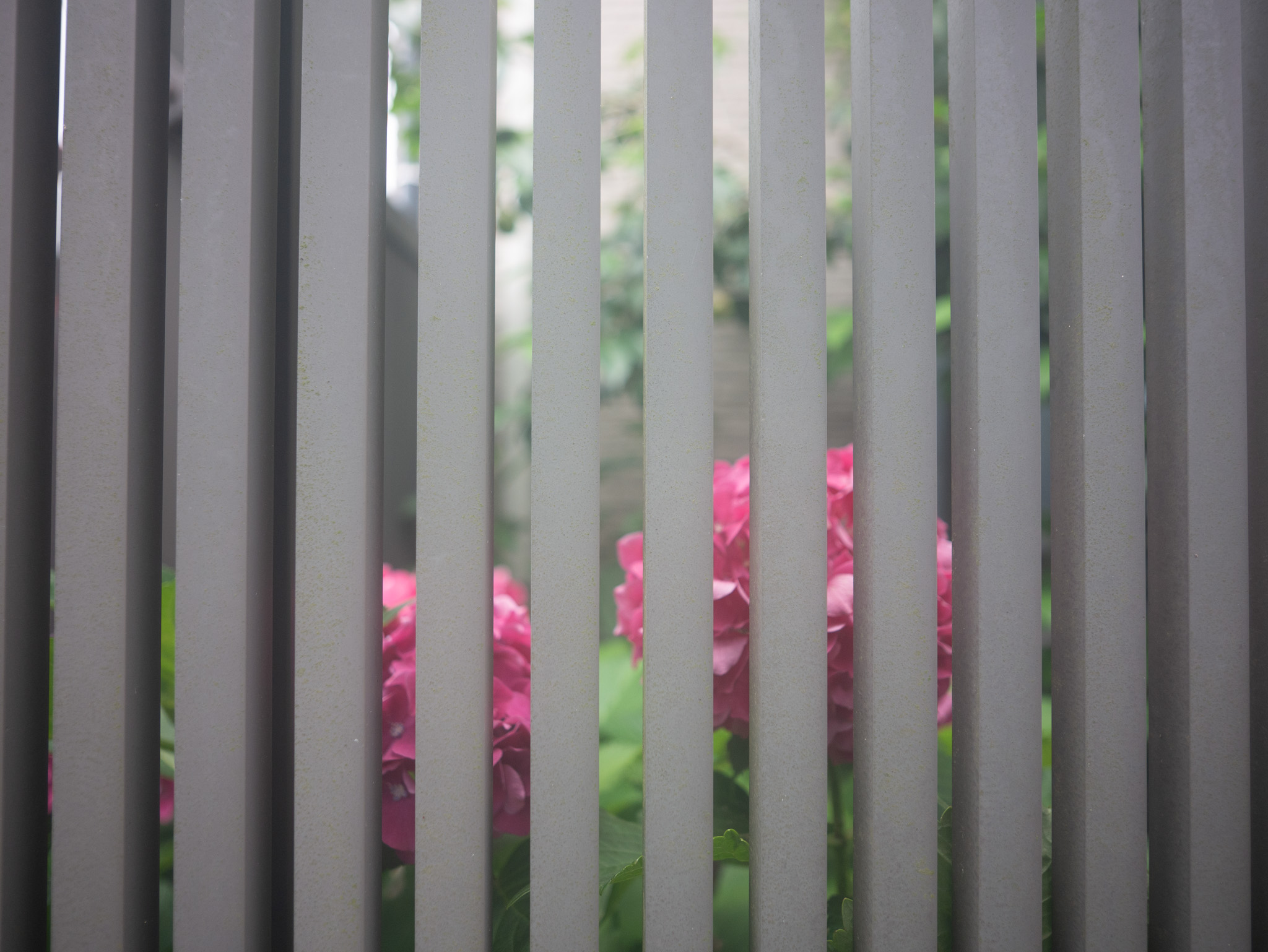 LUMIX GF9 + LEICA DG SUMMILUX 9/F1.7　ノスタルトーン ブルー