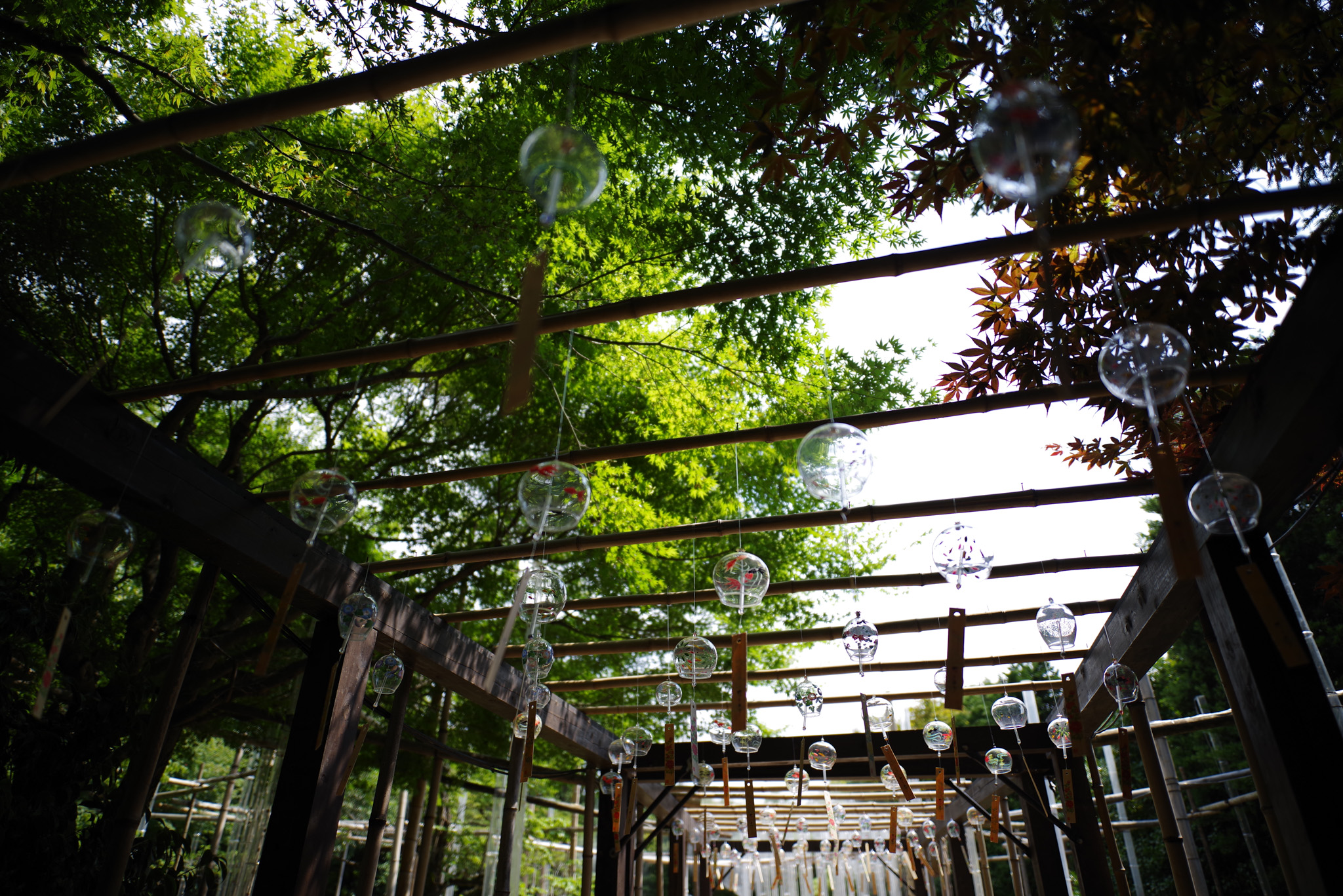 21mm F2.4 ED Limited DC WR