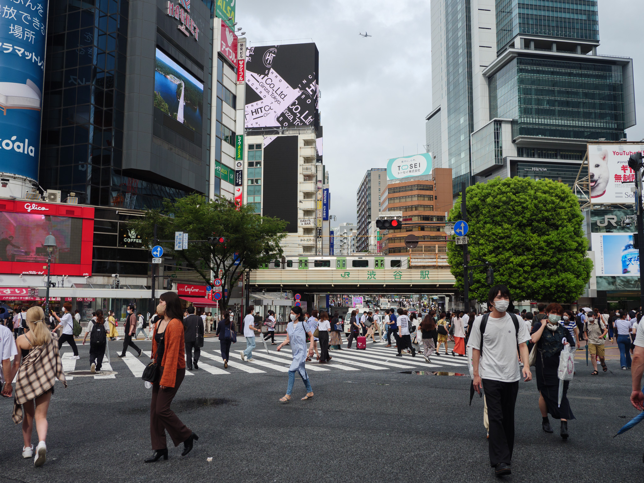 東京