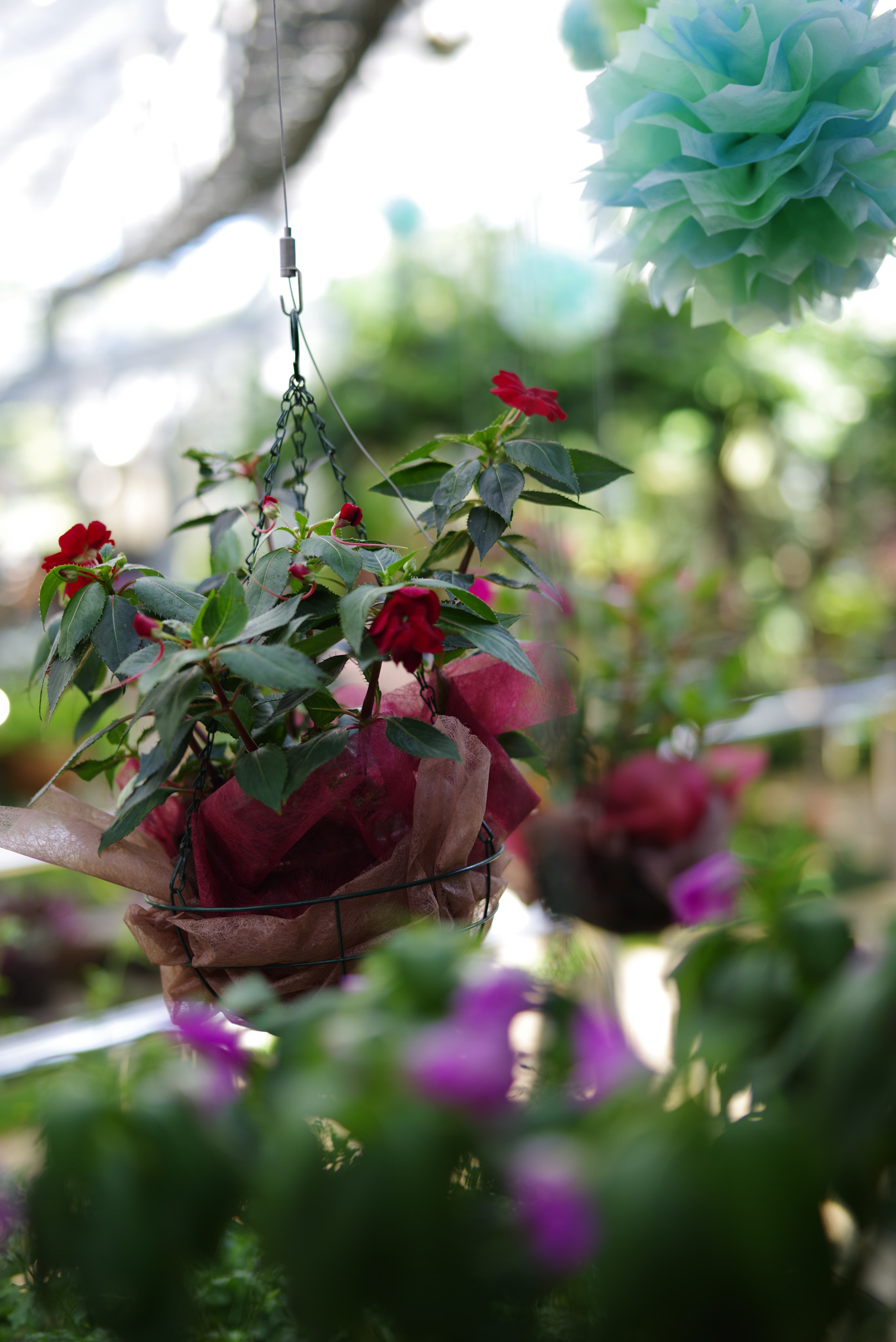 FA* 50mm F1.4 SDM AW