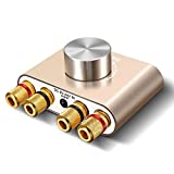 Bluetoothアンプ ELEGIANT ステレオ スピーカー パワーアンプ デジタルアンプ ベース 増幅器 HI-FI 音質 100W 大出力 超小型 Bluetoothアンプ ELEGIANT ステレオ スピーカー パワーアンプ デジタルアンプ ベース 増幅器 HI-FI 音質 100W 大出力 超小型